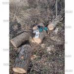 Доп фото Цепь Stihl для аккумуляторной мини пилы (8 дюймов 48 звеньев 23 зуба шаг 1/4 для шины 20см) для Grand АПЦ-20V/8", Procraft PKA20, Титан PCS1221 и аналогов №5