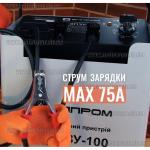 Доп фото Пуско зарядное устройство для АКБ Элпром ЭПЗУ-100 (12/24В) №10