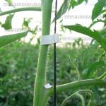 Доп фото Степлер садовый подвязочный Sakuma SC-8102 Tapetool (с лентой и запасным ножом) №7