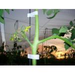 Доп фото Степлер садовый подвязочный Sakuma SC-8102 Tapetool (с лентой и запасным ножом) №6