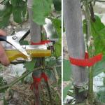 Доп фото Степлер садовый подвязочный Sakuma SC-8102 Tapetool (с лентой и запасным ножом) №9