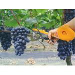 Доп фото Степлер садовый подвязочный Sakuma SC-8102 Tapetool (с лентой и запасным ножом) №3