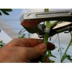 Доп фото Степлер садовый подвязочный Sakuma SC-8102 Tapetool (с лентой и запасным ножом) №12